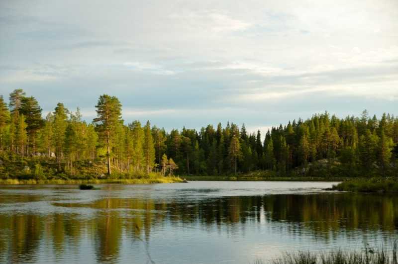 wędkarstwo w norwegii